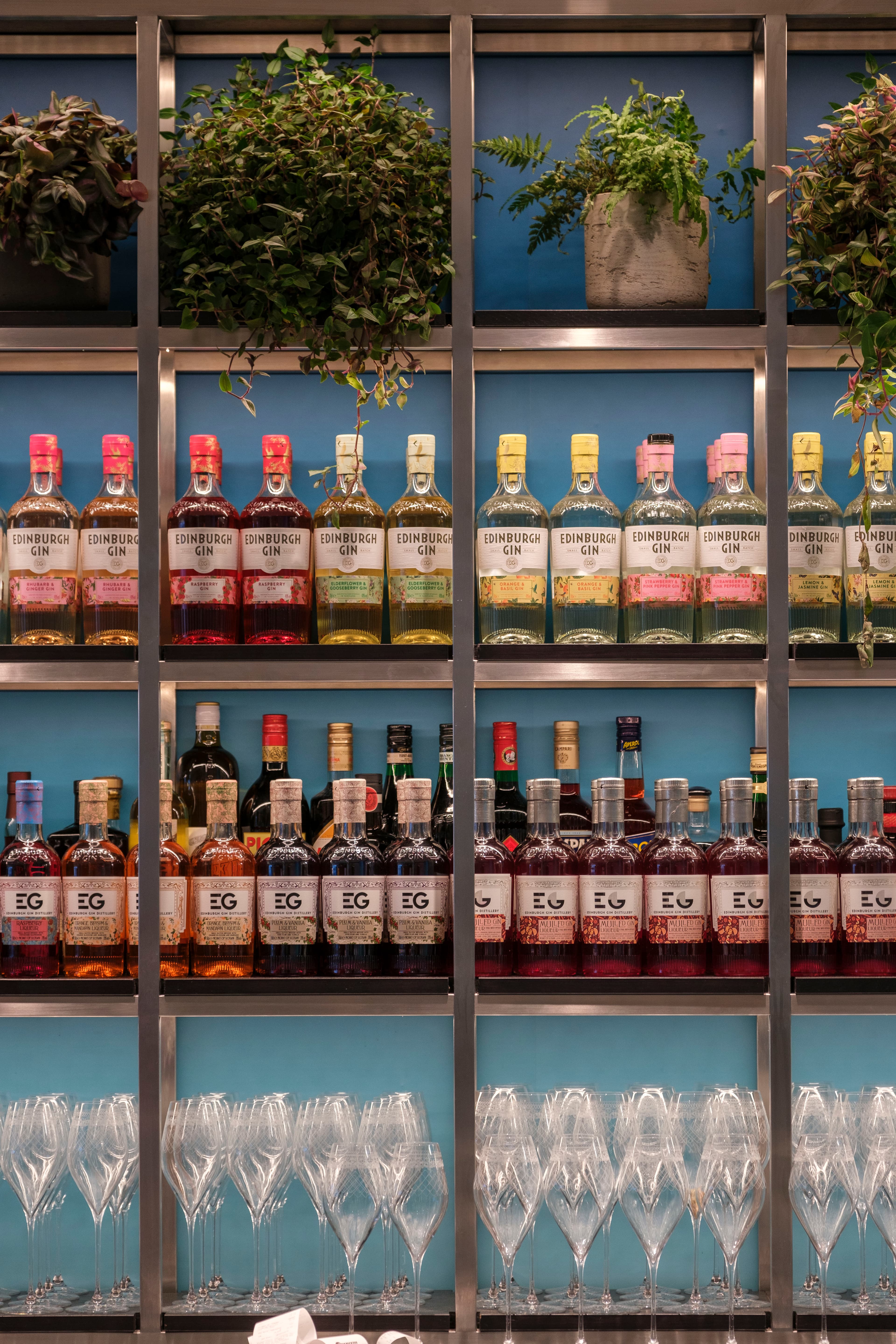 Edinburgh City & Gin Tasting Experience - Private Day Tour